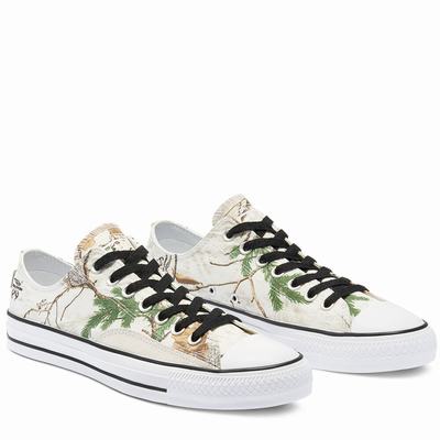 Férfi Converse Unisex CONS REALTREE XTRA® COLORS™ CTAS Pro Tornacipő CO7061834 Fehér/Fekete